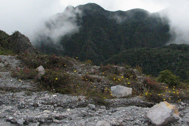 Zdjęcia: Parque Nacional Volcan Baru, Boquete, W drodze na Volcan Baru, PANAMA Zdjęcia: Parque Nacional Volcan Baru, Boquete, W drodze na Volcan Baru, PANAMA
