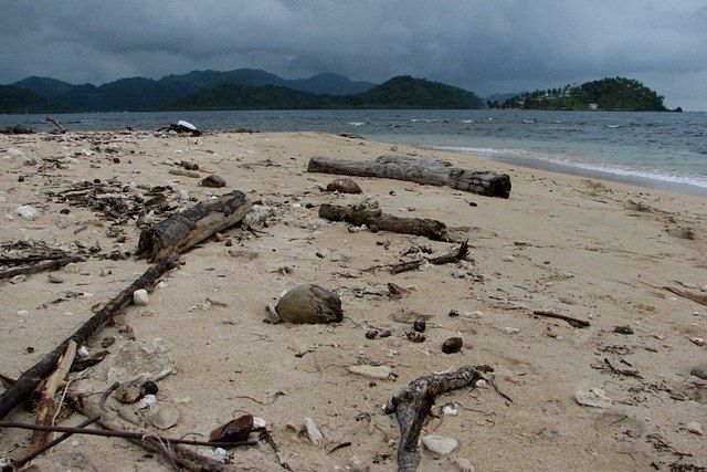 Zdjęcia: Isla Grande, Colon Province, Na plaży, PANAMA Zdjęcia: Isla Grande, Colon Province, Na plaży, PANAMA
