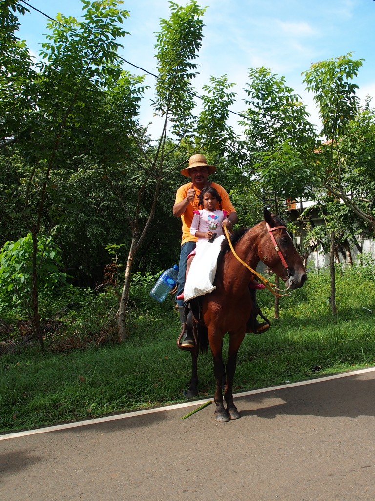 Zdjęcia: Santa Catalina, Veraguas, kowboj, PANAMA Zdjęcia: Santa Catalina, Veraguas, kowboj, PANAMA