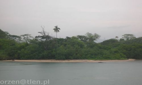 Zdjecie PANAMA / - / cristobal / dzungla