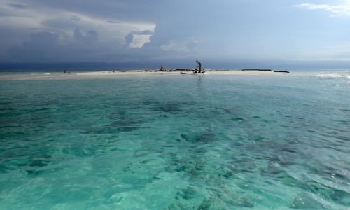 Zdjcie PANAMA / San Blas / cayos holandeses / solo arena