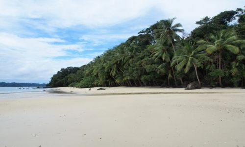 Zdjcie PANAMA / Park Narodowy Coiba / isla rancheria / wyspa