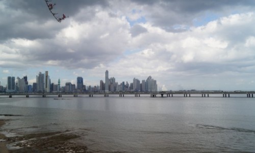 Zdjcie PANAMA / Panama City / Panama City / Rosn jak grzyby po deszczu
