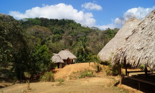 Zdjęcie PANAMA / Park Narodowym Chagres / Park Narodowym Chagres / Wieś Indian Embera