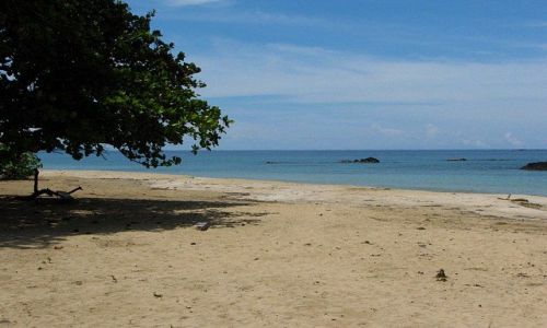 Zdjęcie PANAMA / Bocas del Toro / Isla Bastimentos / Red Frog Beach