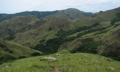 Zdjecie PANAMA / Panama Province / Parque Nacional Altos de Campana / W góry