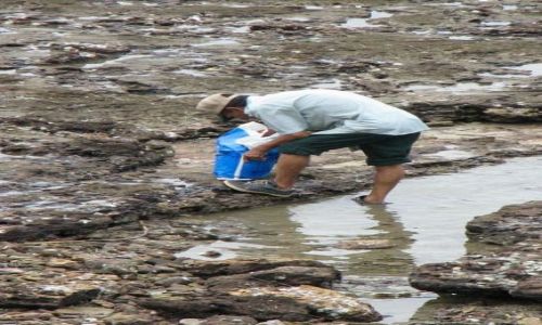 Zdjecie PANAMA / Panama City / Casco Viejo (San Felipe) / Świeże ślimaki, komu świeże ślimaki...
