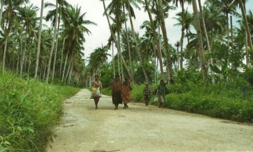 Zdjcie PAPUA NOWA GWINEA / Wschodnia PNG / Bogia-Boroi / Droga