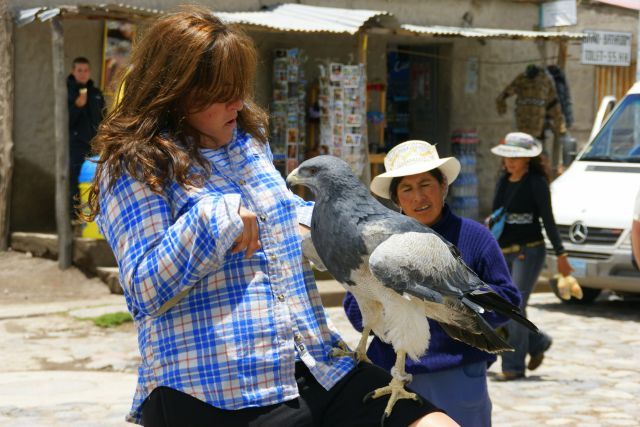 Zdjęcia: YANQUE, YANQUE, ODWAGA, PERU Zdjęcia: YANQUE, YANQUE, ODWAGA, PERU
