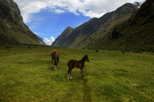 Zdjęcia: Hurascaran, Hurascaran, Hurascaran, PERU Zdjęcia: Hurascaran, Hurascaran, Hurascaran, PERU