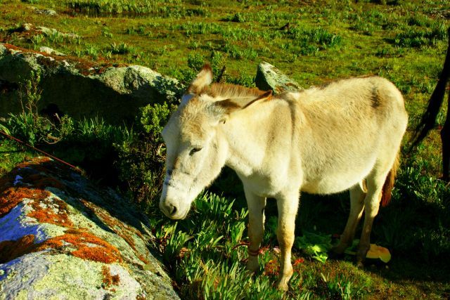 Zdjęcia: Hurascaran, Hurascaran, Hurascaran, PERU Zdjęcia: Hurascaran, Hurascaran, Hurascaran, PERU
