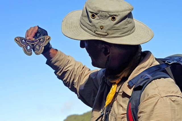 Zdj cia: Choquequirao, Cusco, Autor trzymający ćmę  Cecropie, PERU Zdj cia: Choquequirao, Cusco, Autor trzymający ćmę  Cecropie, PERU