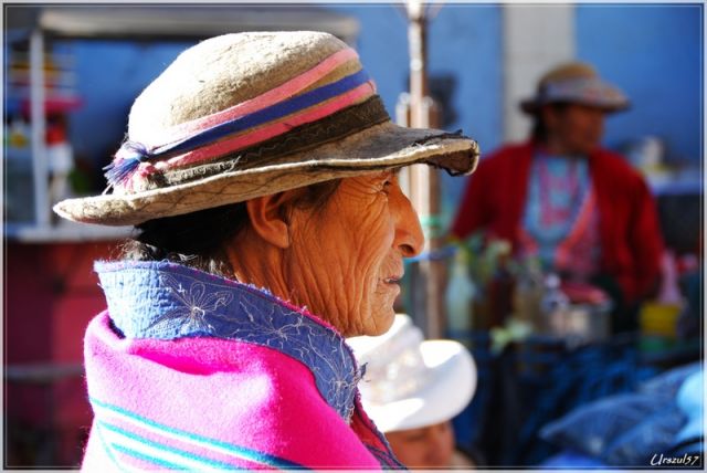 Zdjęcia: Chivay, Rejon COLCA, To się nazywa profil , PERU Zdjęcia: Chivay, Rejon COLCA, To się nazywa profil , PERU