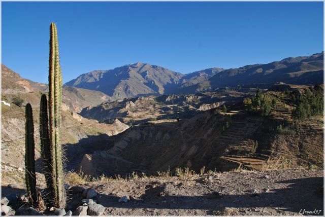 Zdjęcia: Canion Colca, Canion Colca, Canion COLCA, PERU Zdjęcia: Canion Colca, Canion Colca, Canion COLCA, PERU