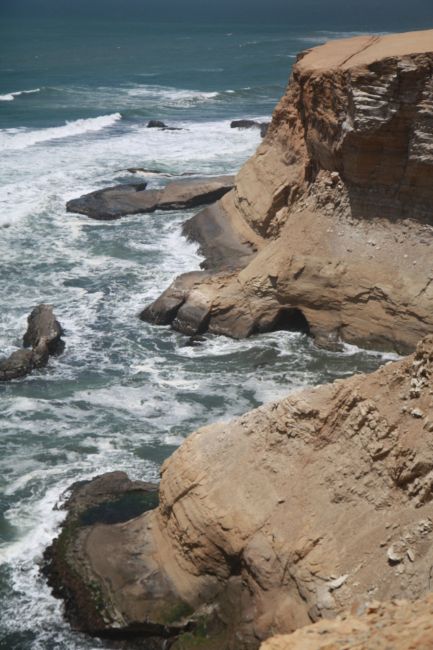 Zdjęcia: Paracas, Paracas, Paracas, PERU Zdjęcia: Paracas, Paracas, Paracas, PERU