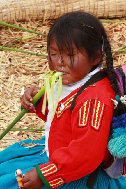 Zdjęcia: wyspa Uros, wyspa Uros, to naprawdę rarytas....ale nie dla mnie :), PERU Zdjęcia: wyspa Uros, wyspa Uros, to naprawdę rarytas....ale nie dla mnie :), PERU
