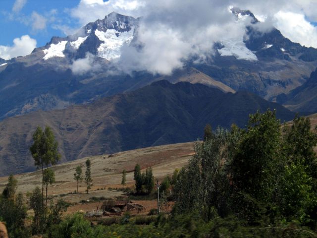 Zdjęcia: Kordyliery, okolice Cusco, Eukaliptusy...a wyglądają jak topole ;), PERU Zdjęcia: Kordyliery, okolice Cusco, Eukaliptusy...a wyglądają jak topole ;), PERU
