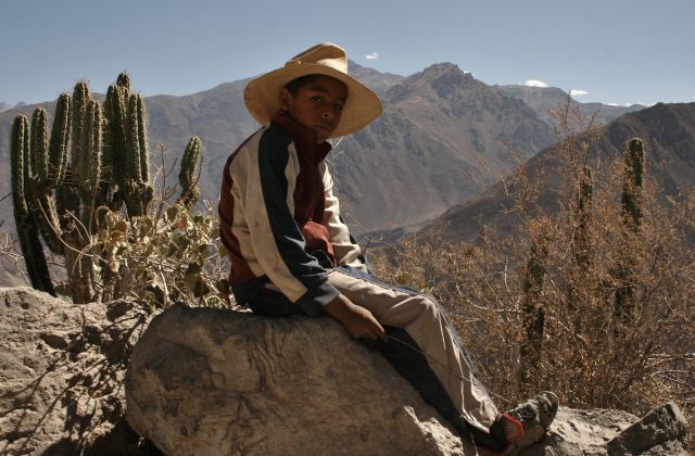 Zdjęcia: Canion Colca, dziki zachod, PERU Zdjęcia: Canion Colca, dziki zachod, PERU