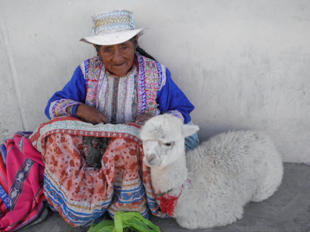 Zdjęcia: Chivay, Konkurs Wytchnienie czy praca?, PERU Zdjęcia: Chivay, Konkurs Wytchnienie czy praca?, PERU