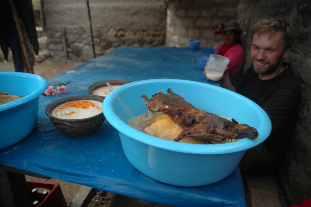Zdjęcia: Cahuana, Arequipa, Świnka Morka na obiad, PERU Zdjęcia: Cahuana, Arequipa, Świnka Morka na obiad, PERU
