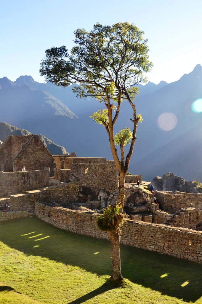 Zdjęcia: Machu Picchu, Cordillera Vilcabamba, W porannym blasku, PERU Zdjęcia: Machu Picchu, Cordillera Vilcabamba, W porannym blasku, PERU