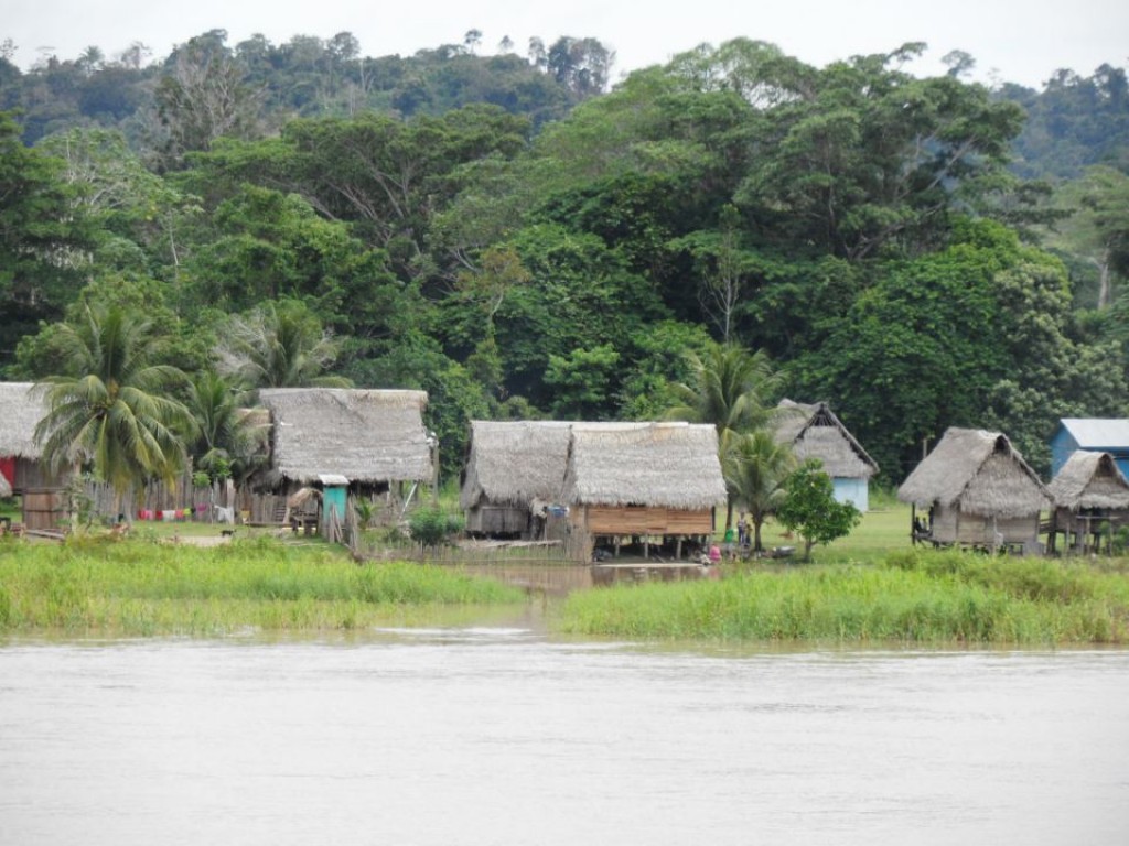 Zdjęcia: Amazonka, Amazonka, chatki, PERU Zdjęcia: Amazonka, Amazonka, chatki, PERU