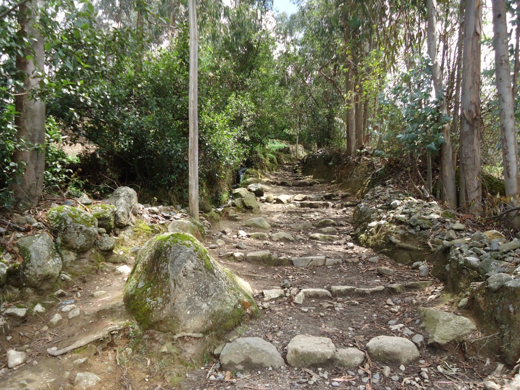 Zdjęcia: okolice Huaraz, Ancash, Inkaski szlak ..., PERU Zdjęcia: okolice Huaraz, Ancash, Inkaski szlak ..., PERU