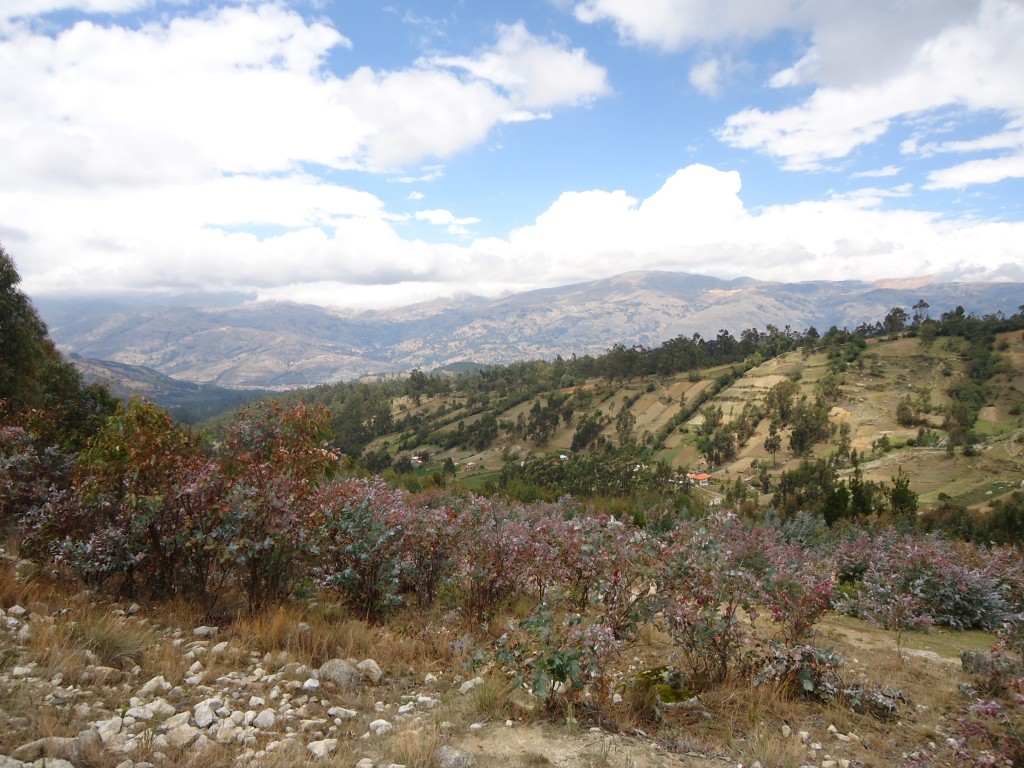 Zdjęcia: okolice Huaraz, Ancash, W górach (3), PERU Zdjęcia: okolice Huaraz, Ancash, W górach (3), PERU