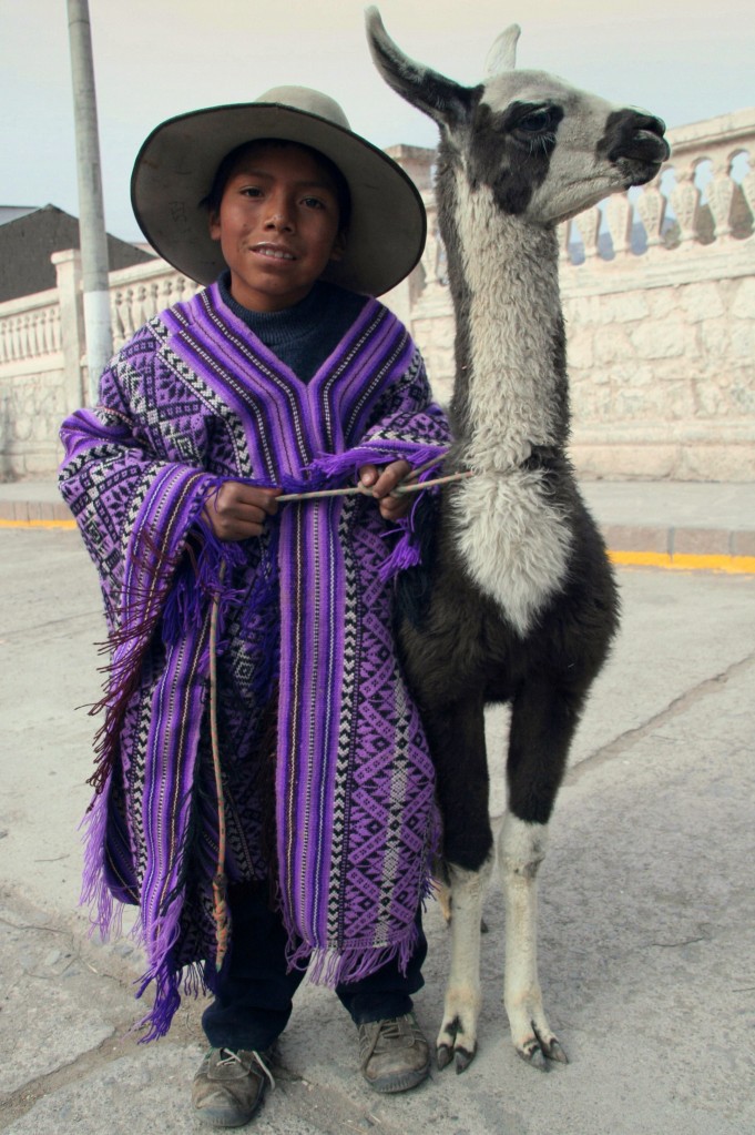 Zdjęcia: Chivay, Chivay, Kiedyś jeszcze urosnę, PERU Zdjęcia: Chivay, Chivay, Kiedyś jeszcze urosnę, PERU