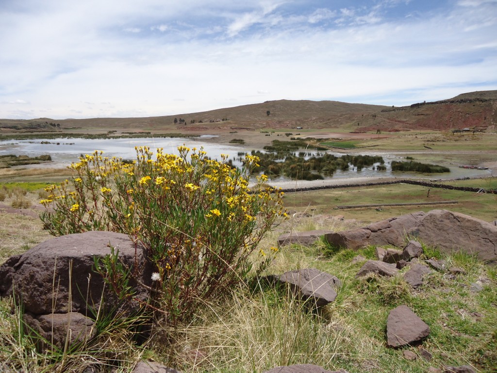Zdjęcia: Sillustani, Puno, Krajobraz (2), PERU Zdjęcia: Sillustani, Puno, Krajobraz (2), PERU