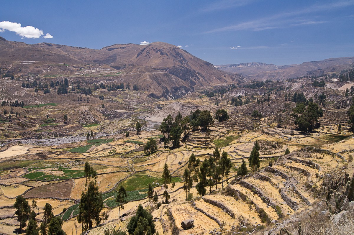 Zdjęcia: Colca Valley, Arequipa, w Colca Valley, PERU Zdjęcia: Colca Valley, Arequipa, w Colca Valley, PERU