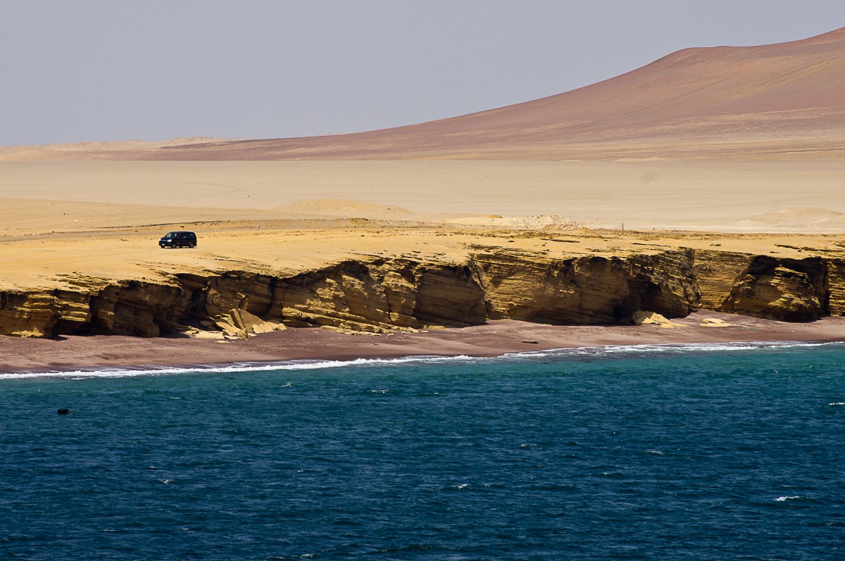 Zdjęcia: NP Paracas, Paracas, Na półwyspie Paracas, PERU Zdjęcia: NP Paracas, Paracas, Na półwyspie Paracas, PERU
