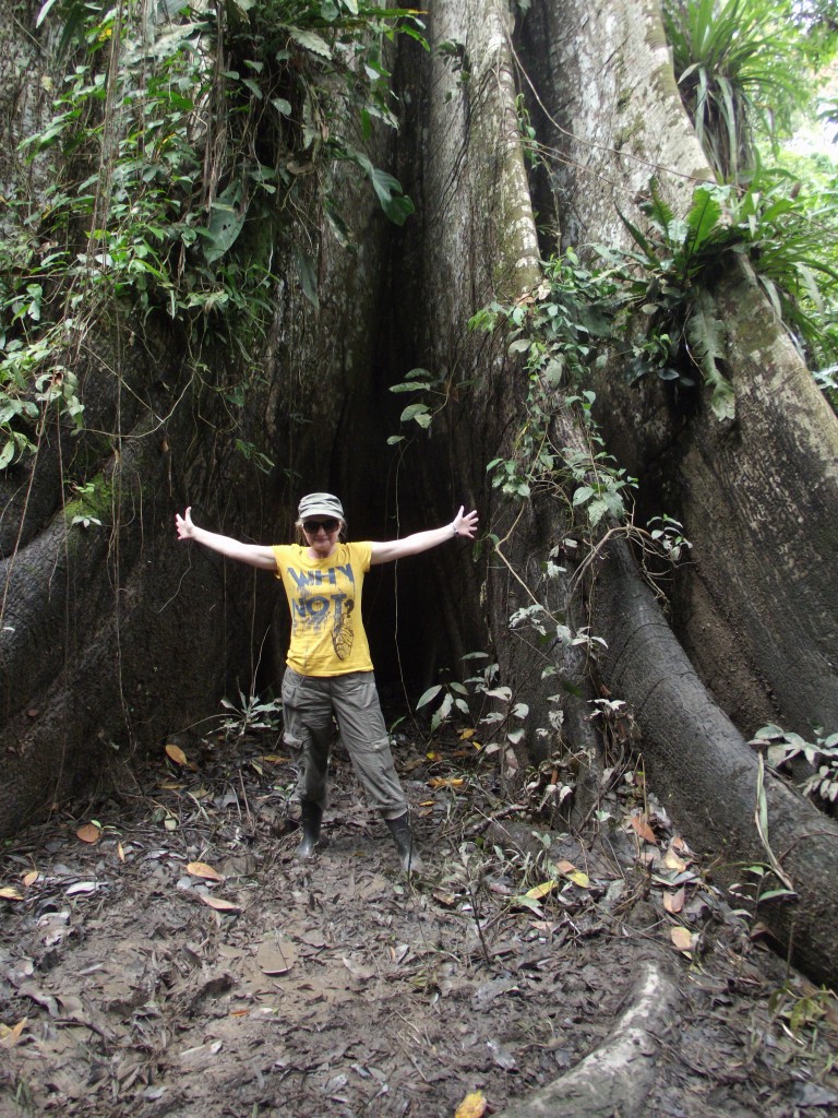 Zdjęcia: Amazonia, Amazonia, Because it is too big, PERU Zdjęcia: Amazonia, Amazonia, Because it is too big, PERU
