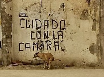 Zdjęcia: Callao, Lima, Uważaj na kamery, PERU Zdjęcia: Callao, Lima, Uważaj na kamery, PERU