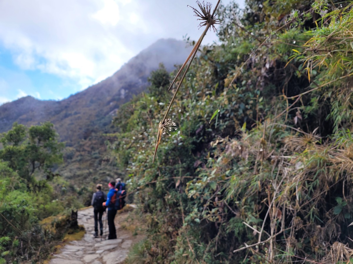 Zdjęcia: Machu Picchu, Machu Picchu, Krople, PERU Zdjęcia: Machu Picchu, Machu Picchu, Krople, PERU