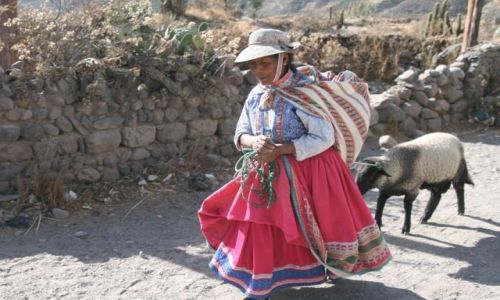 Zdjcie PERU / Dolina Colca / Yanque / Powrot
