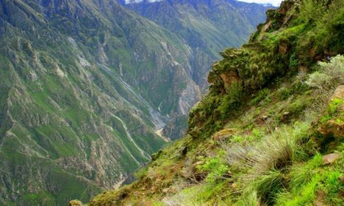 Zdjęcie PERU / Kolca / Kolca / Kanion  Kolca