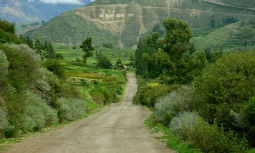 Zdjecie PERU / Kanion  Kolca / Kanion  Kolca / Droga
