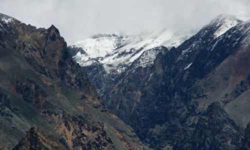 Zdjecie PERU / Kanion Kolca / Kanion Kolca / Kondor