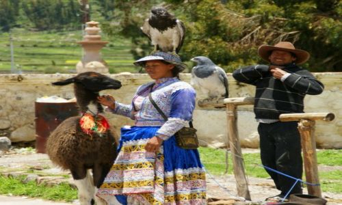 Zdjęcie PERU / Chivay / Chivay / Foto biznes