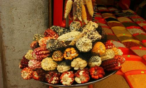 Zdjecie PERU / Cuzco / Cuzco / Kukurydza