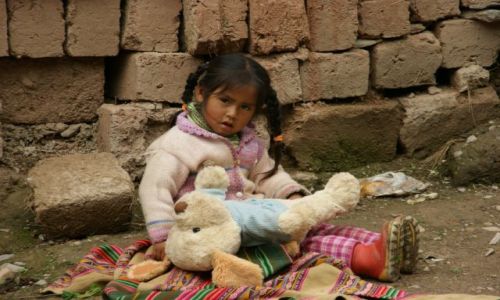 Zdjęcie PERU /  Ollantayambo /  Ollantayambo / Miś