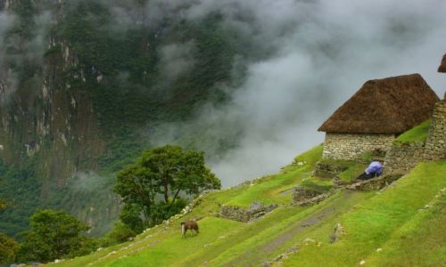 Zdjecie PERU / Machu Picchu / Machu Picchu / Machu Picchu