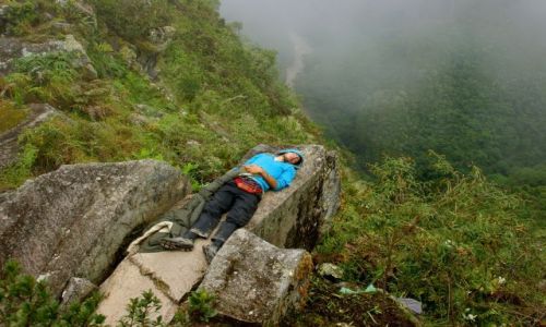 Zdjecie PERU / Machu Picchu / Machu Picchu / Senno  w  kadym  miejscu