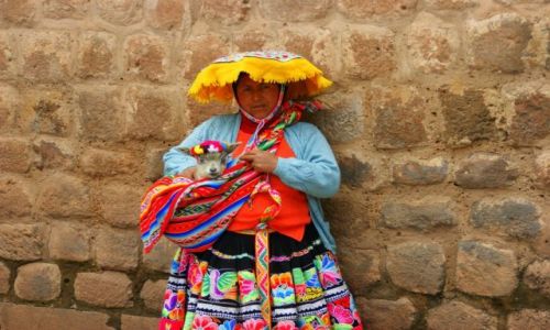 Zdjecie PERU / Cuzco / Cuzco / Baranek