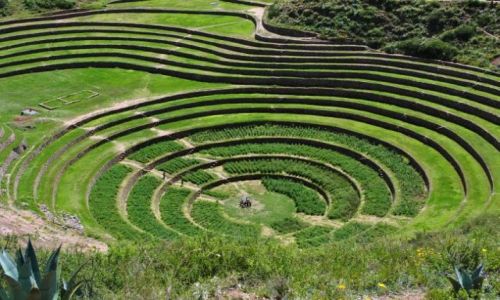 Zdjecie PERU / tu pod Andami / okolice Cusco / pola uprawne
