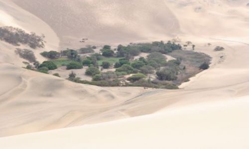 Zdjecie PERU / huacachina / pustynia k. huacachina / oaza na pustyni