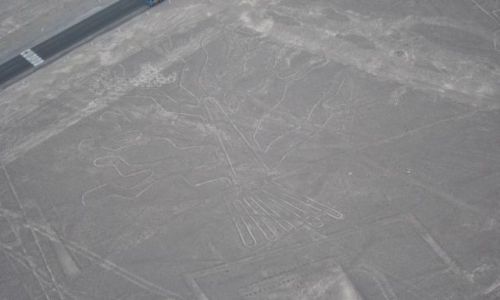 Zdjecie PERU / Paskowy Nasca / Nazca / Rysunki NAZCA