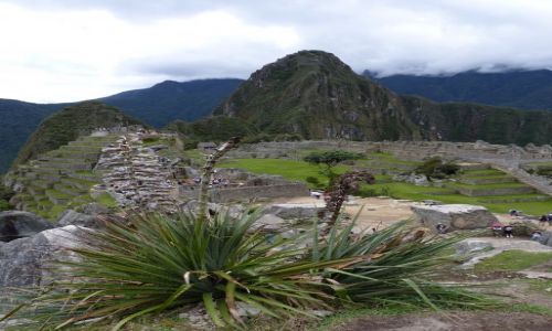 Zdjecie PERU / Peru / ... / Machu Picchu 