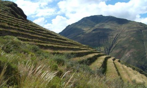 Zdjecie PERU / brak / okolice Pisac / tarasy w witej Dolinie